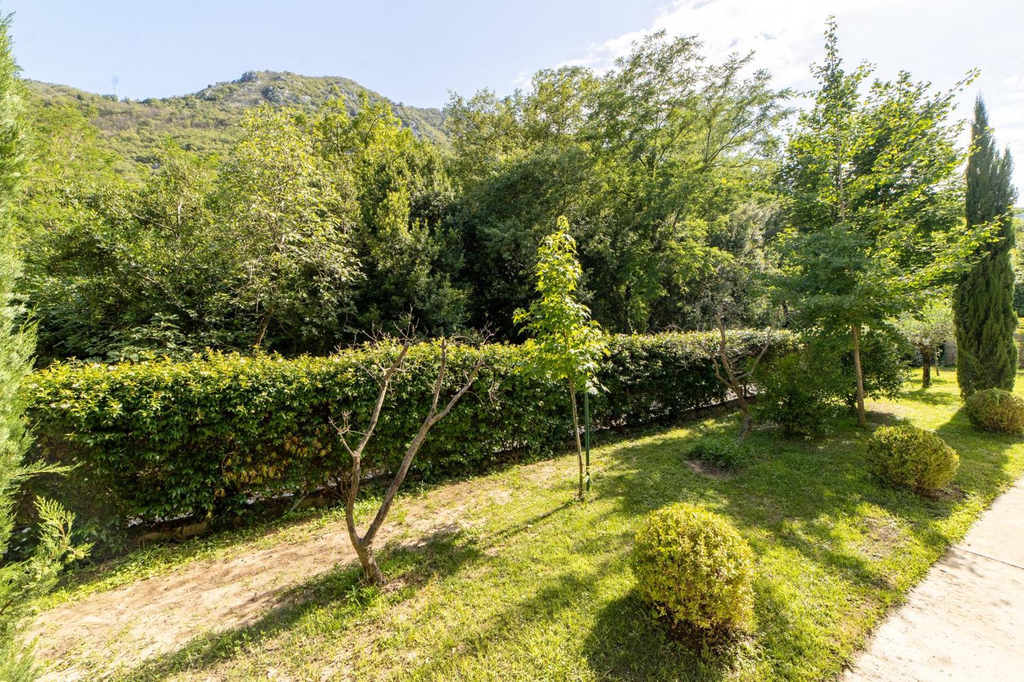 Green Bay Apartments Morinj Kotor Dış mekan fotoğraf